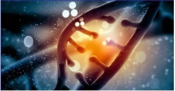 Έρχεται στην ελληνική αγορά ο πρώτος θεραπευτικος παράγοντάς RNAi γονιδιακής σίγασης