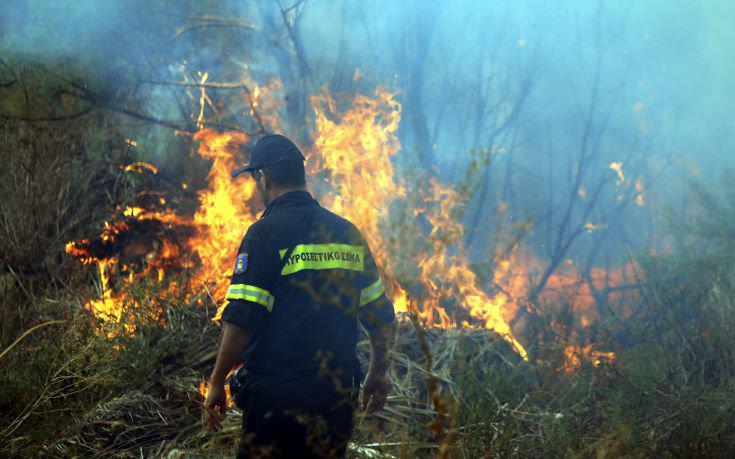 Ανεξέλεγκτη η φωτιά στην Εύβοια - Εκκενώθηκαν χωριά, πλησιάζει στα Ψαχνά