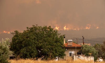 Εμπρησμός κατά 99% δείχνουν τα στοιχεία για τις πυρκαγιές στην Εύβοια!