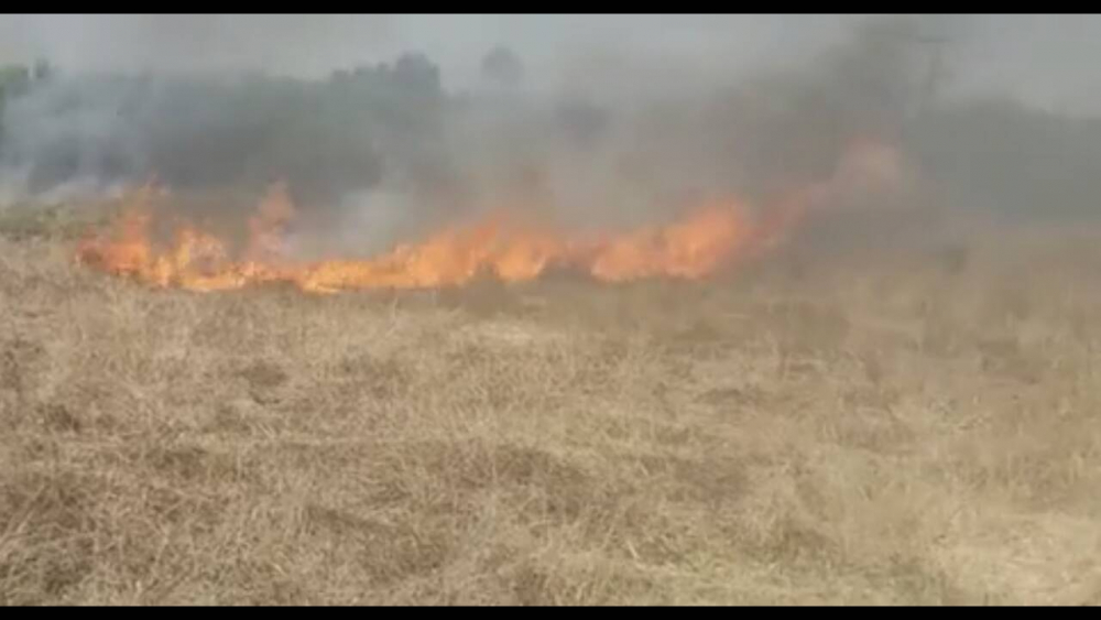 Σε εξέλιξη η φωτιά στη Κέρκυρα, εκκενώνονται χωριά