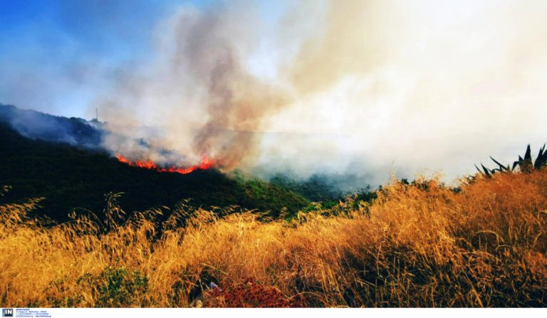 Κρήτη: Φωτιά στο Πάνορμο-Μεγάλη δυσκολία λόγω βοριάδων!