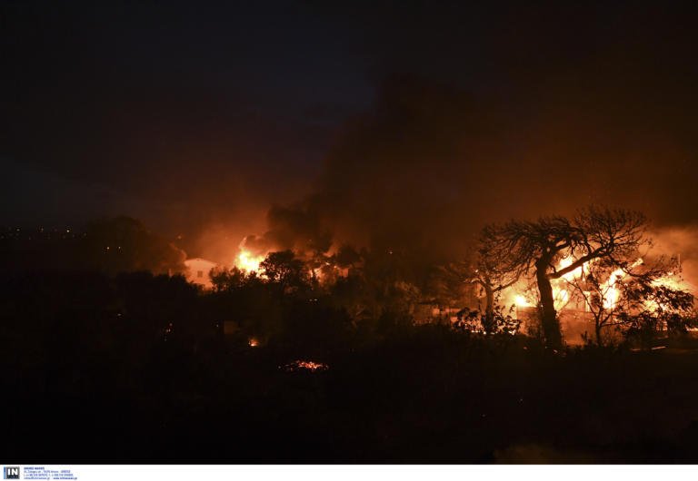 Σε ύφεση η πυρκαγιά στο Διόνυσου που ξέσπασε σε δασική έκταση
