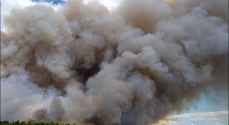 Πυρκαγιά στον Ασπρόπυργο και στον Άγιο Ανδρέα στο Ζούμπερι - Εκκενώθηκαν οι παιδικές κατασκηνώσεις