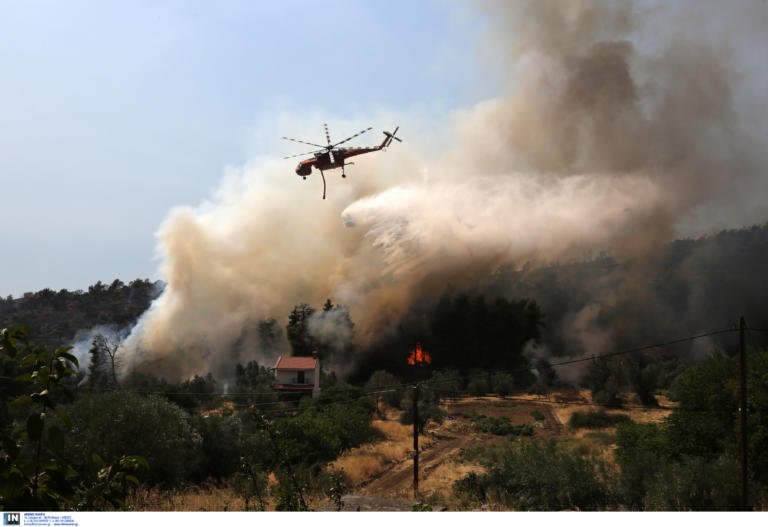Πυρκαγιά στο Σούλι Θεσπρωτίας – Άμεση κινητοποιήση της Πυροσβεστικής