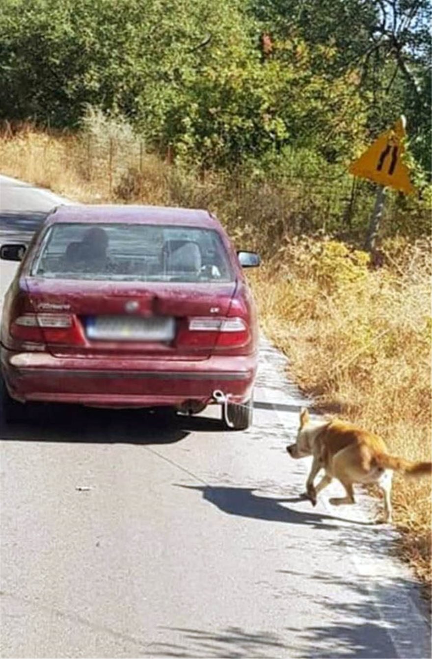 Κτηνωδία στην Κρήτη: Έδεσε σκύλο από το λαιμό και τον τραβούσε με το αμάξι