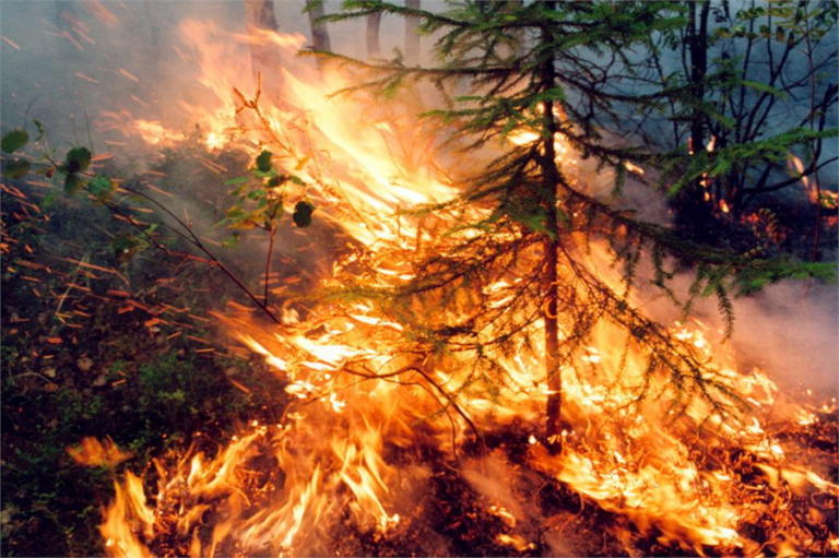 Σιβηρία: Οικολογική τραγωδία χωρίς τέλος – Οι φωτιές Μαίνονται σε 28.000.000 στρέμματα