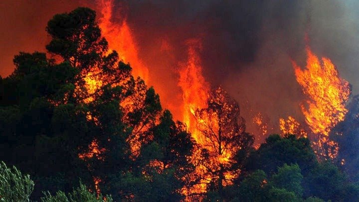 23.000 στρέμματα είχαν καεί στην Εύβοια μέχρι χθες