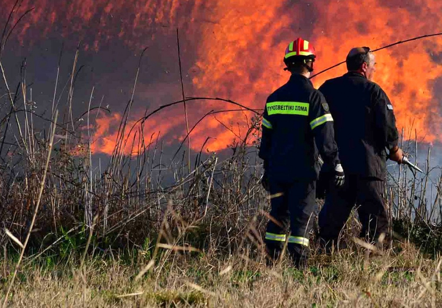 Φωτιά στη Σιθωνία Χαλκιδικής - Καίγεται δάσος