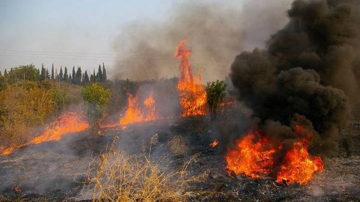 Έκτακτο: Φωτιά τώρα στη Θεσπρωτία