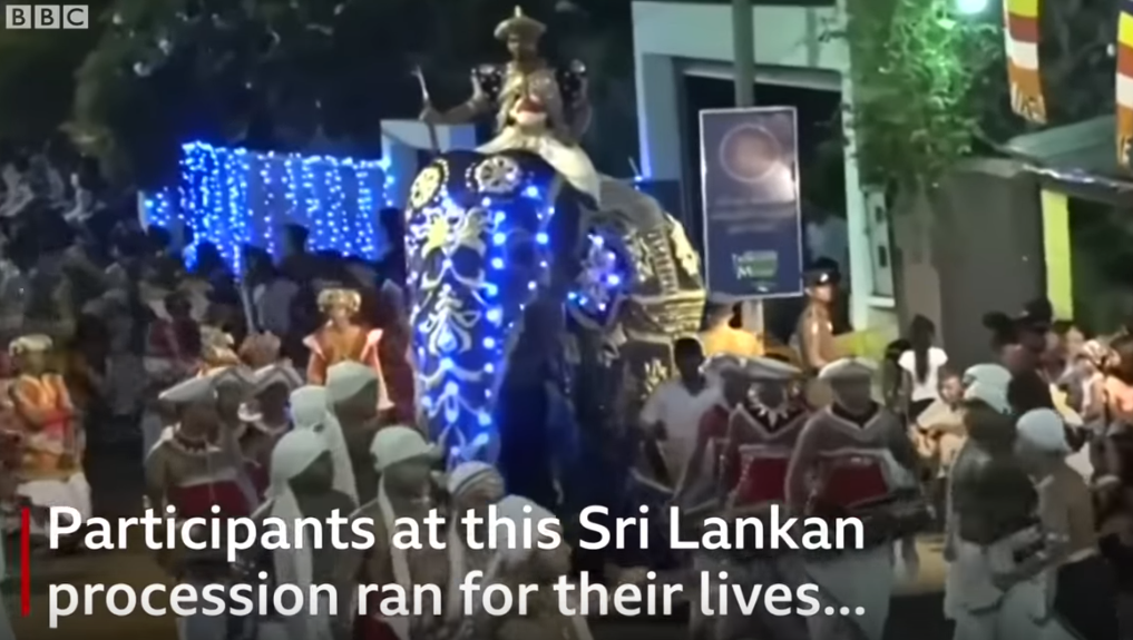 (Video) Πανικός στη Σρι Λάνκα όταν ελέφαντες άρχισαν να ποδοπατούν κόσμο σε φεστιβάλ