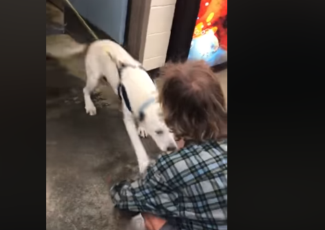 Υπέρχο βίντεο: Άστεγος άντρας βρίσκει το χαμένο σκύλο του
