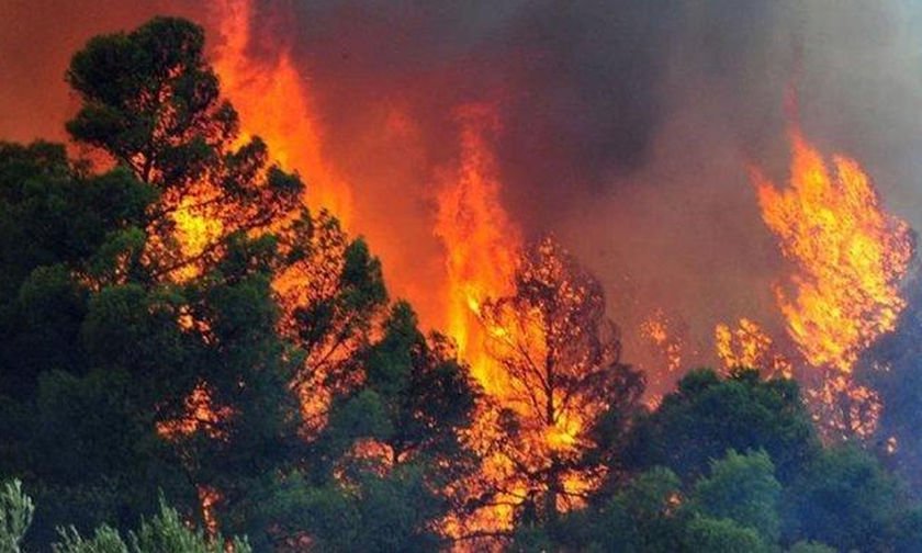 Φωτιά σε δάσος στη δυτική Αχαΐα