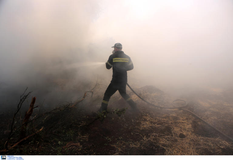 Φωτιά στη Χαλκιδική – Στις φλόγες δασική έκταση στη Σιθωνία