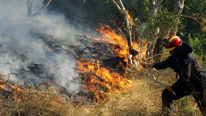 Πυρκαγιά σε εξέλιξη σε υπαίθριο χώρο στις Αχαρνές Αττικής