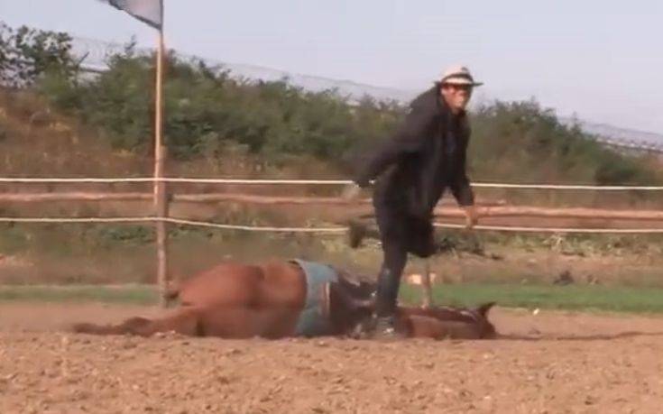 Άλογο προσποιείται ότι πεθαίνει για να μην το καβαλήσουν (Video)