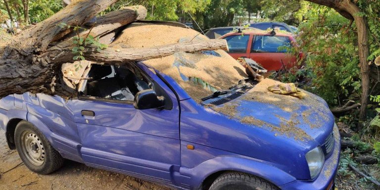 Θεσσαλονίκη: Δέντρο έπεσε σε αυτοκίνητα και προξένησε ζημιές!