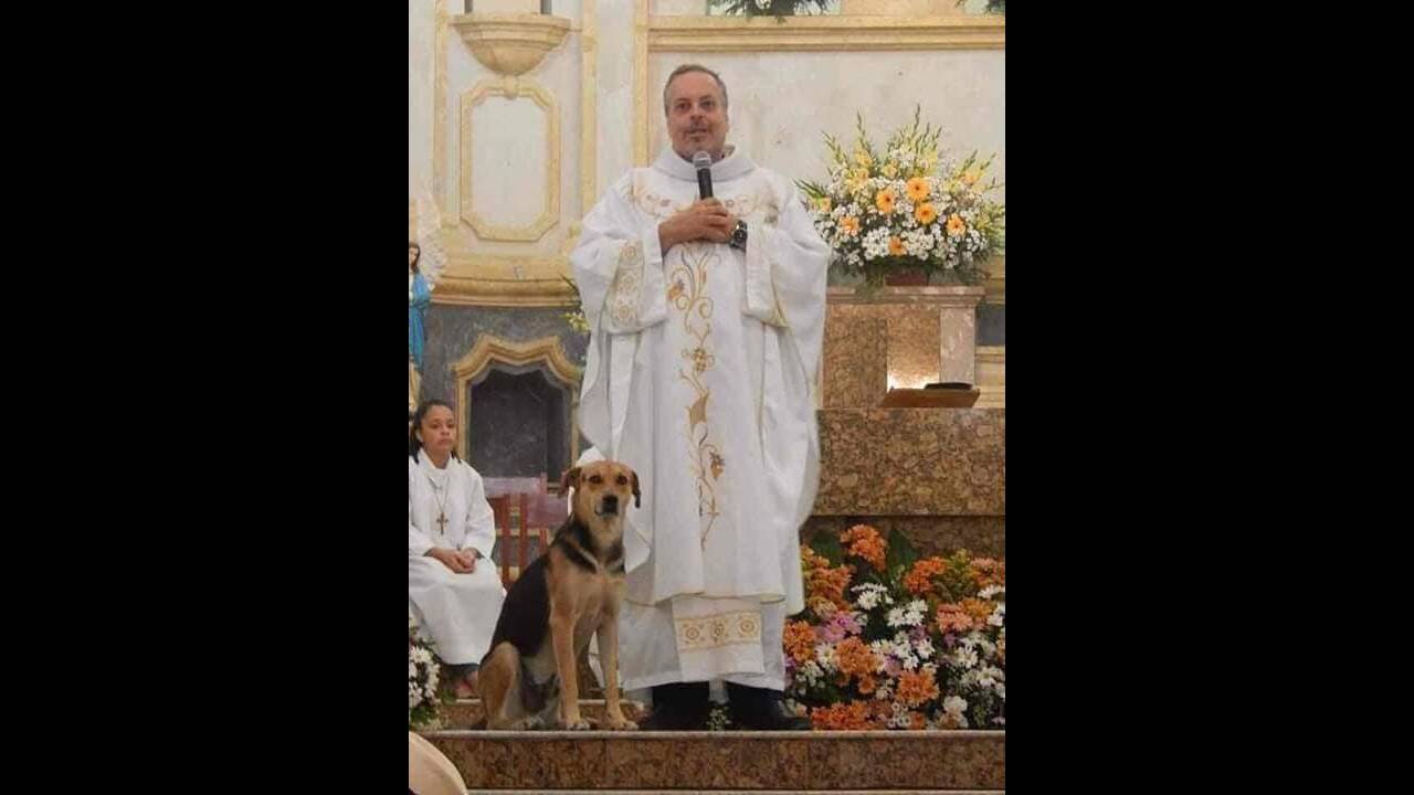 Υπέροχος! Ιερέας φιλοξενεί αδέσποτα ζώα στην εκκλησία με την ελπίδα ότι θα τα υιοθετήσουν οι πιστοί