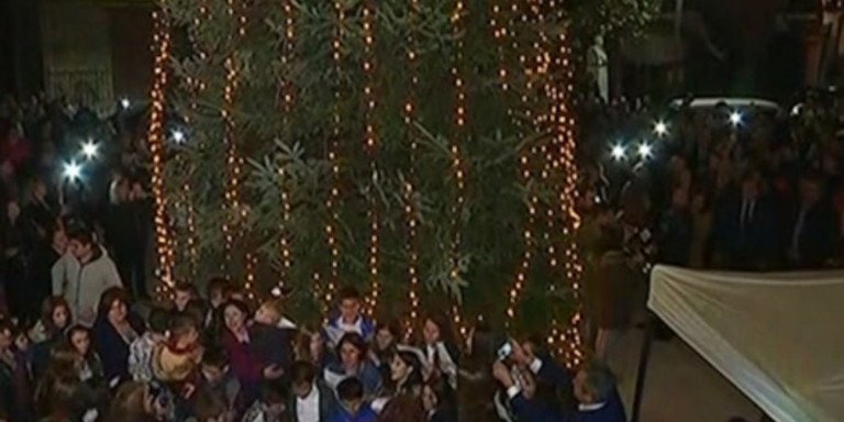 Το πρώτο χριστουγεννιάτικο δέντρο για φέτος είναι στη Χαλκιδική (Video)