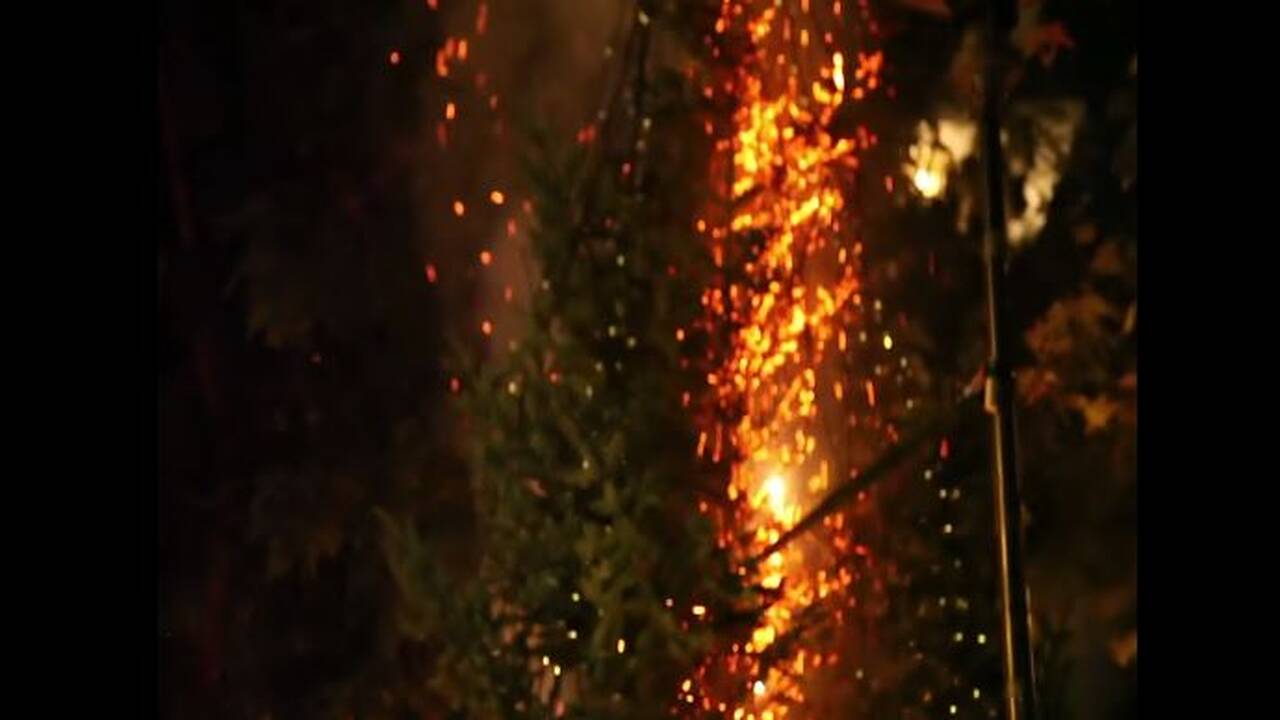 Έκαψαν το χριστουγεννιάτικο δέντρο στα Εξάρχεια μπροστά στα ΜΑΤ