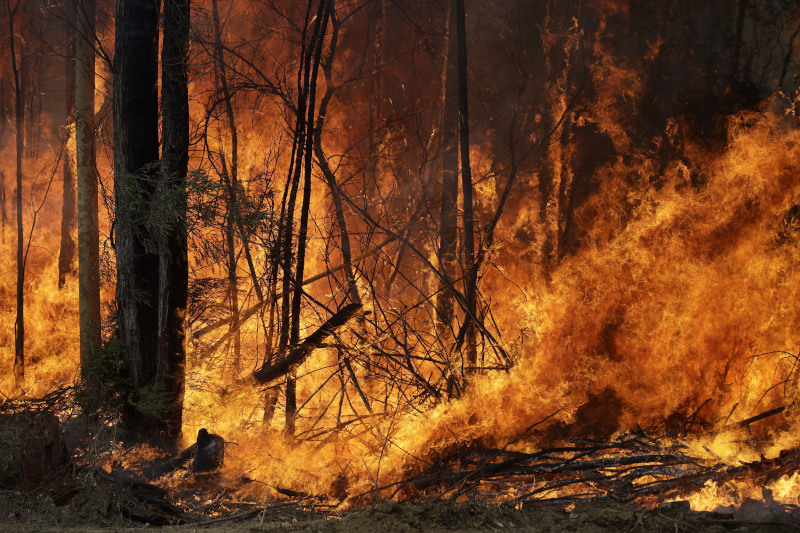 Φωτιές στην Αυστραλία: Εγκαταλείπουν άρον άρον τα σπίτια