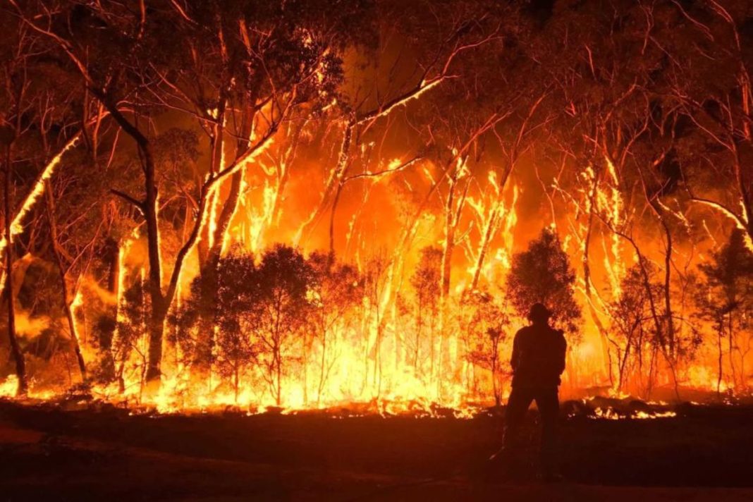 Αυστραλία-φωτιές: Κάηκε σχεδόν το 1/5 των δασών