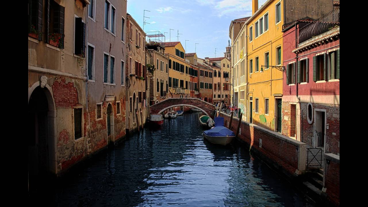 Βενετία: Οι τουρίστες φεύγουν... τα ψάρια επιστρέφουν