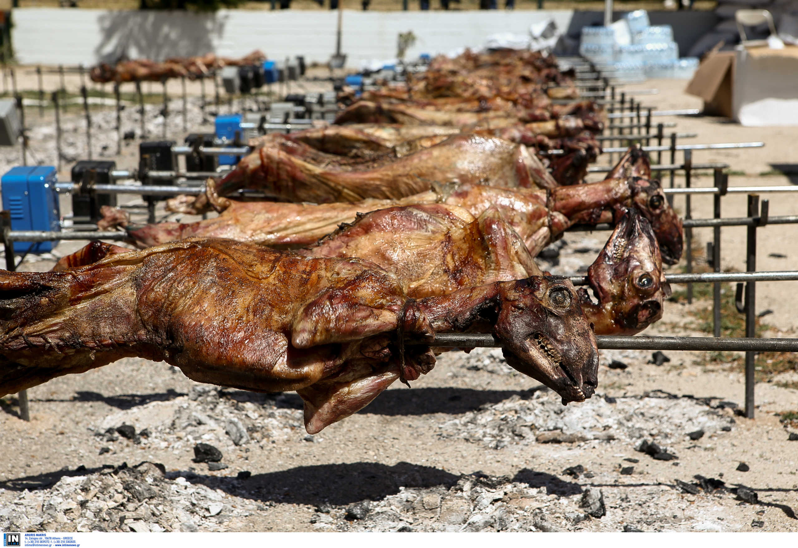 Βόλος: «Το 50% των κρεοπωλείων πουλά ρουμάνικα αρνιά για ντόπια» - Η καταγγελία κτηνοτρόφων