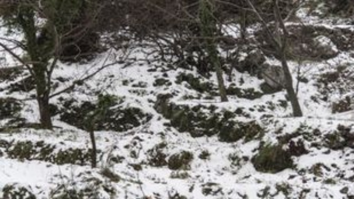 Καιρός: Χιονίζει στα ορεινά των Τρικάλων