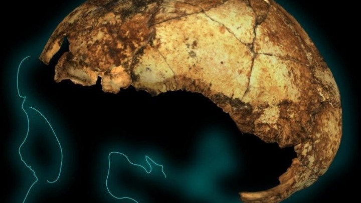 Σοκ: Βρέθηκε το αρχαιότερο κρανίο Homo erectus στον κόσμο στην Νότια Αφρική