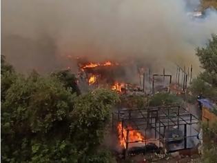 Φωτιά στη Σάμο: Κάηκαν σκηνές προσφύγων - 100 άτομα χωρίς καταφύγιο