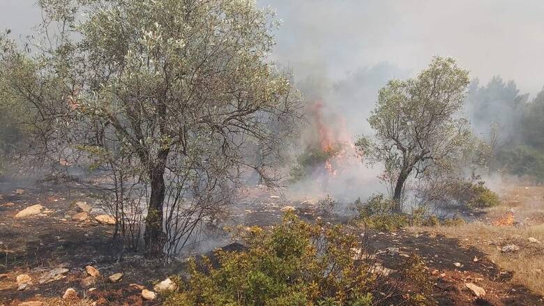 Υπό μερικό έλεγχο η πυρκαγιά στο Πόρτο Γερμενό