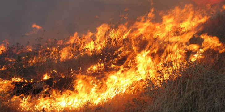 Γ.Γ. Πολιτικής Προστασίας: Πολύ υψηλός κίνδυνος πυρκαγιάς σε τέσσερις περιφέρειες