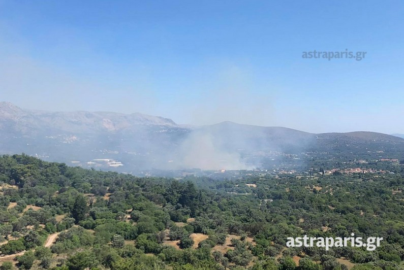 Μεγάλη πυρκαγιά στη Χίο- Εντολή εκκένωσης δύο χωριών (βίντεο)