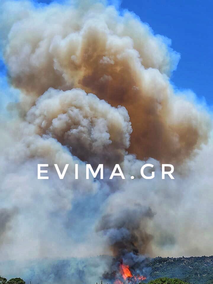 Εύβοια: Μεγάλη φωτιά στον δήμο Καρύστου -Εκκενώθηκε οικισμός
