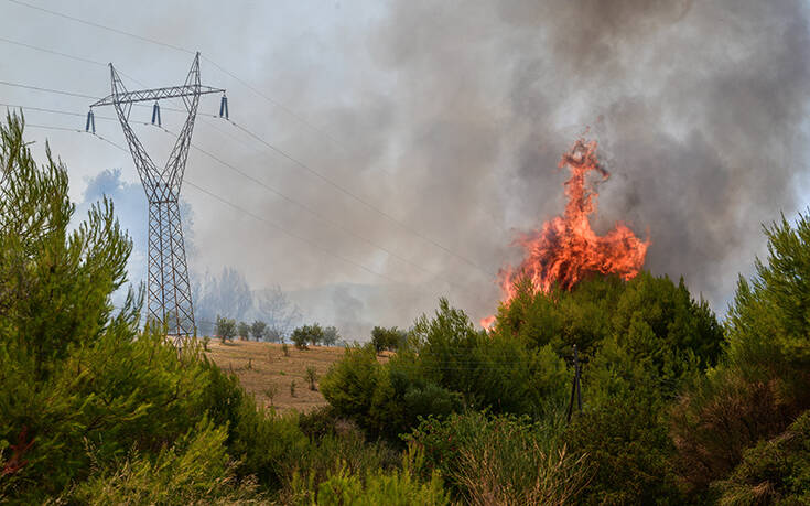 Πολύ υψηλός κίνδυνος πυρκαγιάς για αύριο σε Εύβοια, Αττική, Βοιωτία, Πελοπόννησο, Κρήτη και νησιά του Αιγαίου