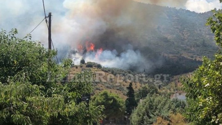 Αταλάντη: Η πυρκαγιά καίει πεύκα και πουρνάρια -Κοντά σε σπίτια οι φλόγες