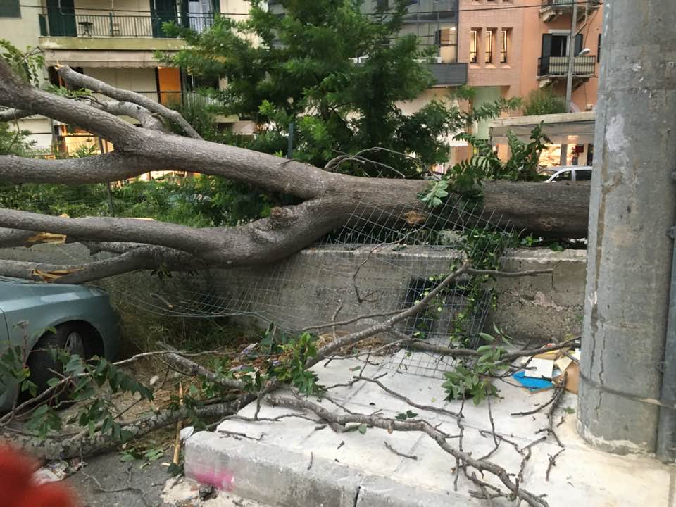 Κακοκαιρία «Θάλεια»: Σάρωσε στη βόρεια Ελλάδα -Χωρίς ρεύμα η Πιερία, πλημμύρισαν Κοζάνη, Βελβεντός