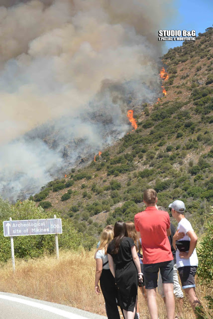 Πυρκαγιά στις Μυκήνες-Εκκενώθηκε ο αρχαιολογικός χώρος
