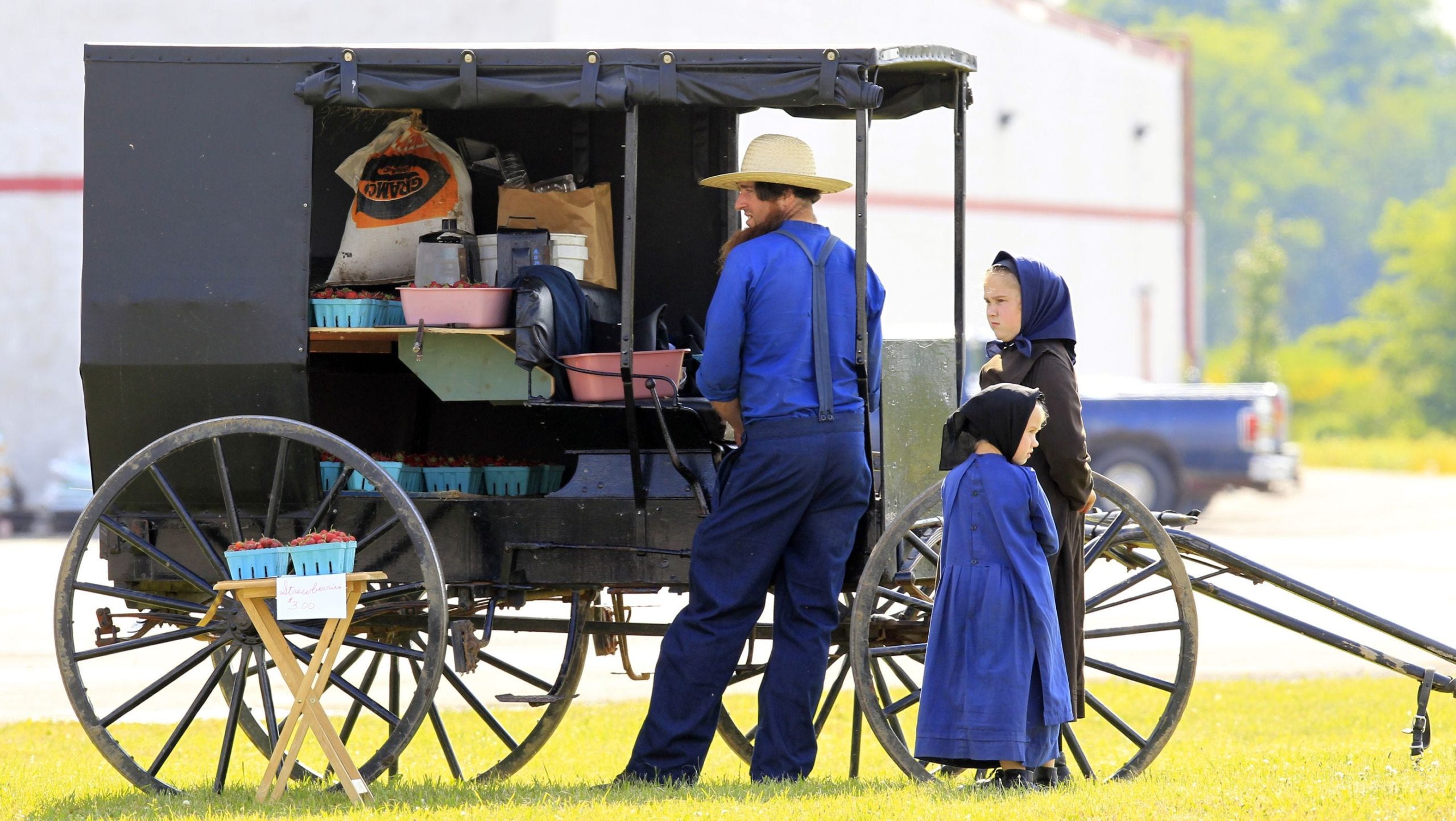 ΗΠΑ: Amish βίασαν την 13χρονη αδερφή τους, την άφησαν έγκυο αλλά ως εκ θαύματος δεν θα πάνε φυλακή