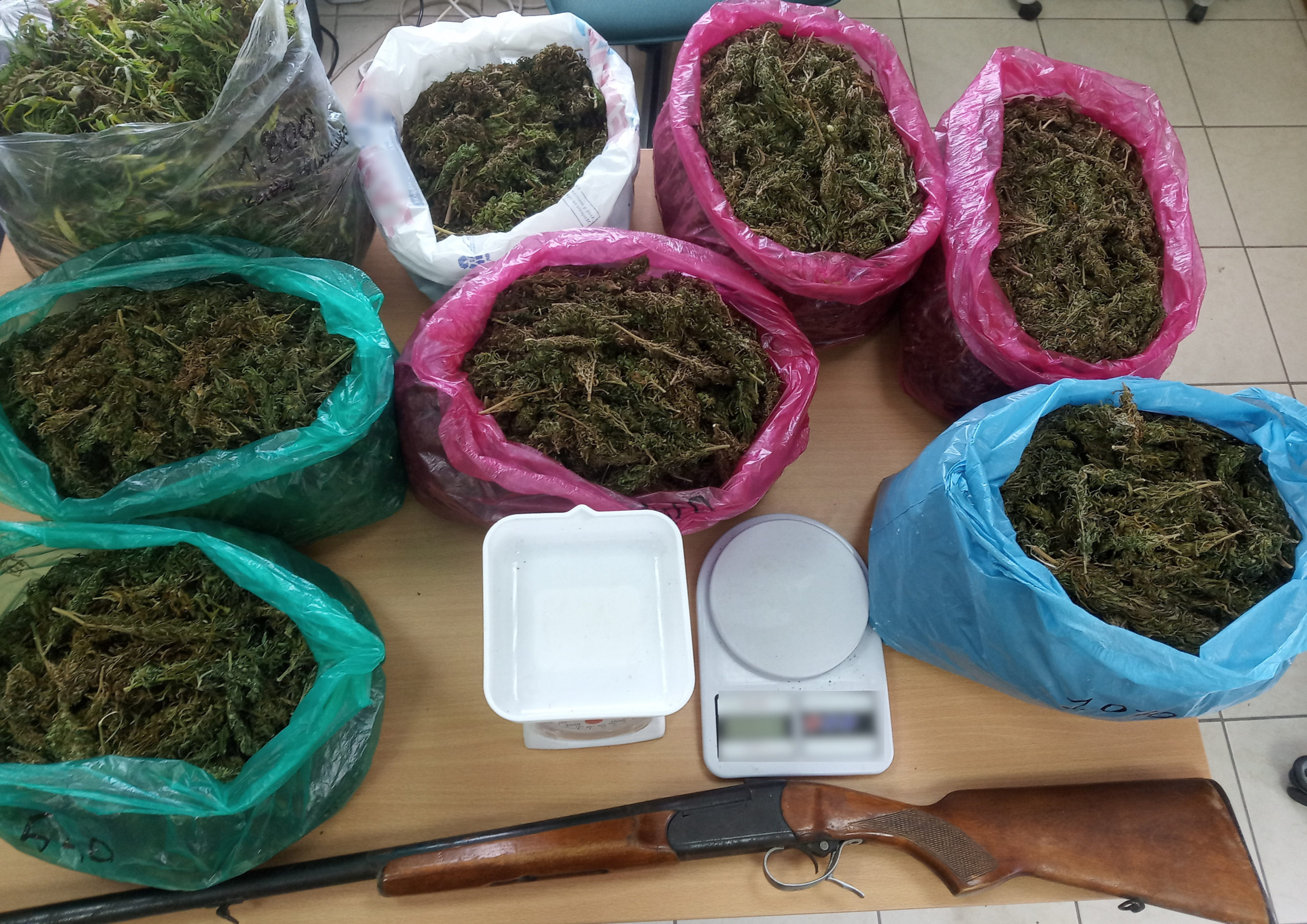 Συνελήφθησαν καλλιεργητές ναρκωτικών στην Ηλεία