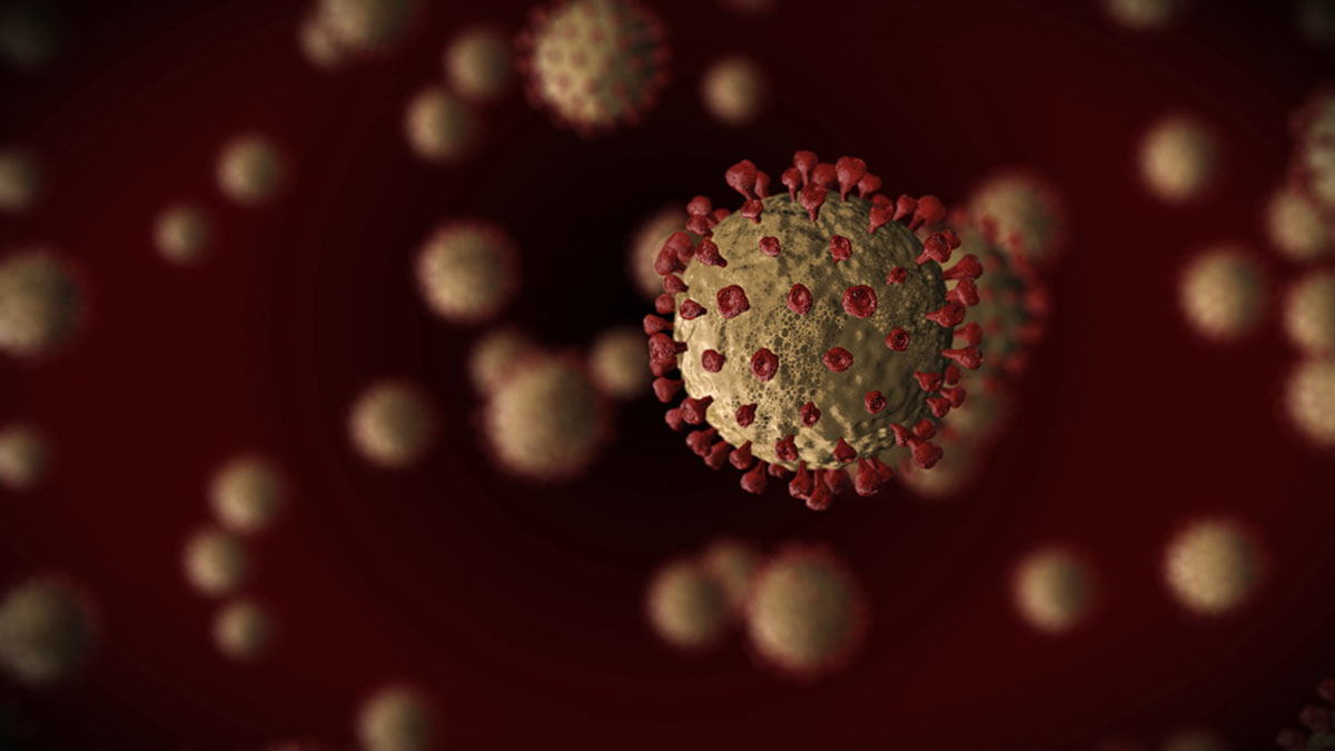 Κορωνοϊός: Έτσι δουλεύουν τα αντισώματα έναντι του φονικού ιού
