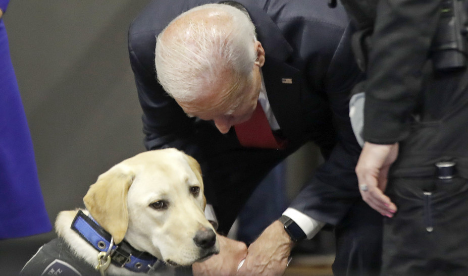 Τα πανέμορφα σκυλιά των ηγετών- Δύο γερμανικοί ποιμενικοί στον Λευκό Οίκο (εικόνες)