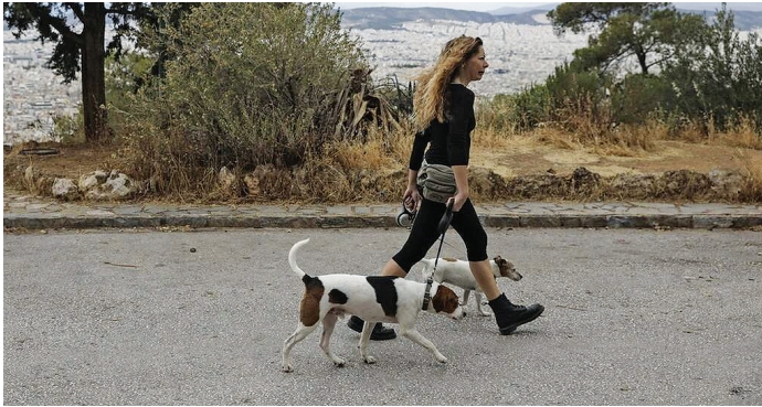 Ζητούνται επειγόντως σκυλιά για… βόλτα λόγω καραντίνας!