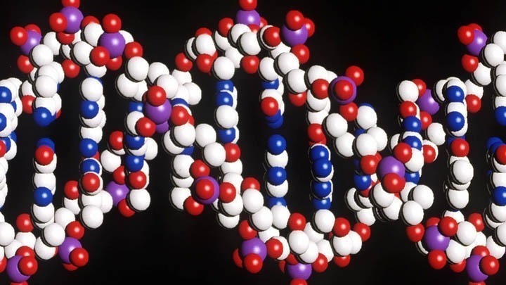 Γενετικές παραλλαγές στο χρωμόσωμα 3 σχετίζονται με σοβαρή COVΙD-19