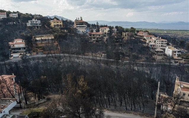 Μελέτη της Περιφέρειας  Αττικής για την αναζωογόνηση των περιοχών που επλήγησαν από τις φωτιές στο Μάτι