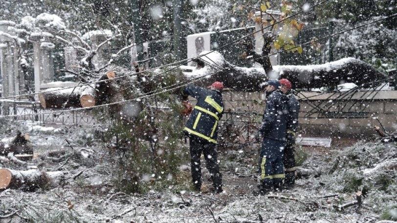 Αστεροσκοπείο Αθηνών: Τα δέντρα έπεσαν γιατί το χιόνι ήταν πιο υγρό και πιο βαρύ