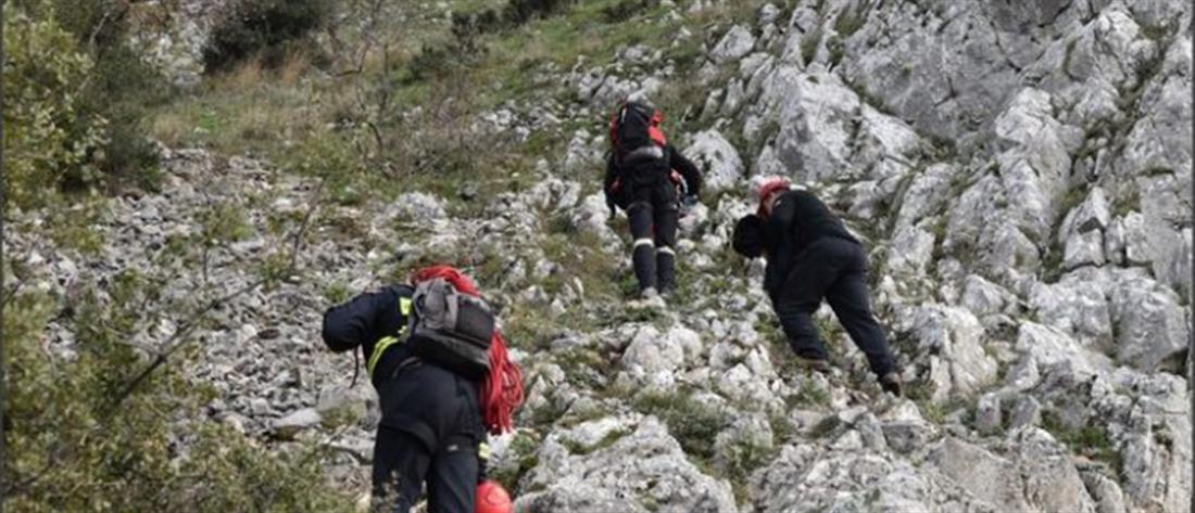Τραγωδία στην Πάρνηθα: Ορειβάτης ανασύρθηκε χωρίς τις αισθήσεις του