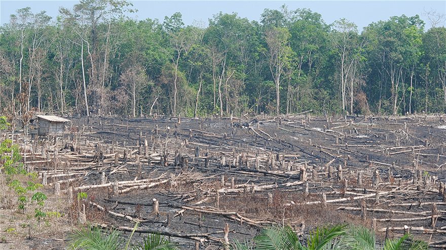 Το δάσος του Αμαζονίου εκπέμπει περισσότερο διοξείδιο του άνθρακα απ' όσο απορροφά