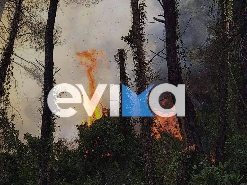 Εύβοια: Μεγάλη φωτιά στη θέση Γεραντώνη Κουρκουλών – Συμμετέχουν εναέρια μέσα στην κατάσβεση της