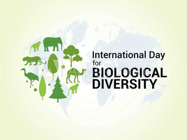 Το μήνυμα του γ.γ. του ΟΗΕ για την Παγκόσμια Ημέρα Βιοποικιλότητας